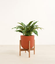 Load image into Gallery viewer, Earth Red stand:bamboo
