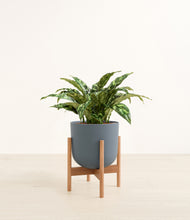 Load image into Gallery viewer, Iron Gray stand:bamboo
