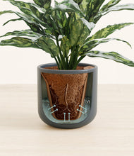 Load image into Gallery viewer, Iron Gray stand:all
