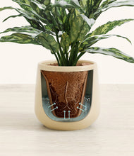 Load image into Gallery viewer, Almond Green stand:all
