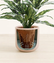 Load image into Gallery viewer, Sandy Pink stand:all
