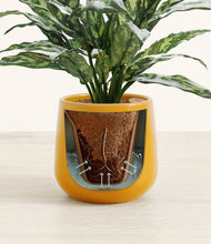 Load image into Gallery viewer, Mustard stand:all
