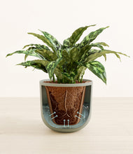 Load image into Gallery viewer, Sage Green stand:all
