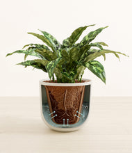 Load image into Gallery viewer, Natural Bamboo stand:all
