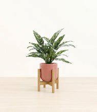 Load image into Gallery viewer, Hammered Rose Pink stand:bamboo
