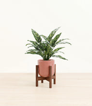 Load image into Gallery viewer, Hammered Rose Pink stand:walnut
