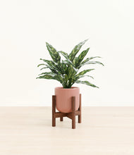 Load image into Gallery viewer, Striped Rose Pink stand:walnut
