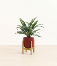 Load image into Gallery viewer, Striped Cherry Red stand:bamboo

