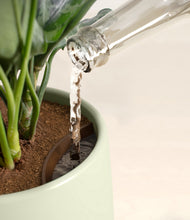 Load image into Gallery viewer, Turquoise stand:all
