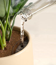 Load image into Gallery viewer, Almond Green stand:all
