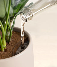 Load image into Gallery viewer, Eternal Gray stand:all
