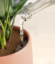 Load image into Gallery viewer, Calm Rose stand:all
