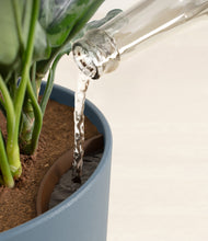 Load image into Gallery viewer, Iron Gray stand:all
