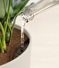 Load image into Gallery viewer, Natural Bamboo stand:all
