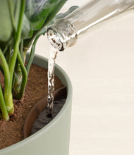 Load image into Gallery viewer, Sage Green stand:all
