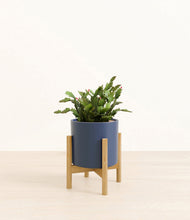 Load image into Gallery viewer, Deep Navy stand:bamboo
