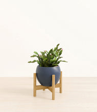 Load image into Gallery viewer, Deep Navy stand:bamboo
