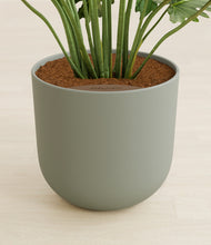 Load image into Gallery viewer, Sage Green stand:all
