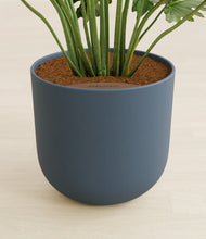 Load image into Gallery viewer, Iron Gray stand:all
