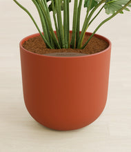 Load image into Gallery viewer, Earth Red stand:all
