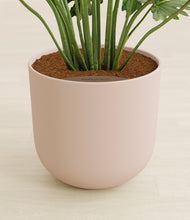 Load image into Gallery viewer, Sandy Pink stand:all
