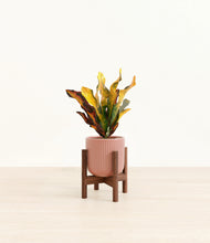 Load image into Gallery viewer, Striped Rose Pink stand:walnut
