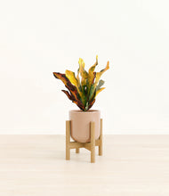 Load image into Gallery viewer, Glossy Pink stand:bamboo
