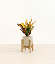 Load image into Gallery viewer, Sage Green stand:bamboo
