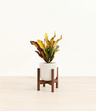 Load image into Gallery viewer, Cotton White stand:walnut
