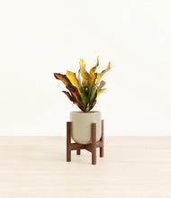 Load image into Gallery viewer, Sage Green stand:walnut
