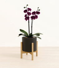 Load image into Gallery viewer, Black stand:bamboo
