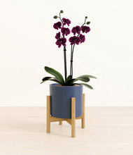 Load image into Gallery viewer, Deep Navy stand:bamboo
