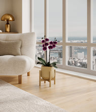 Load image into Gallery viewer, Almond Green stand:bamboo
