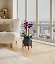 Load image into Gallery viewer, Deep Navy stand:walnut

