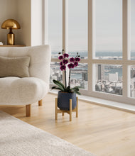 Load image into Gallery viewer, Deep Navy stand:bamboo
