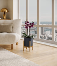 Load image into Gallery viewer, Deep Navy stand:bamboo
