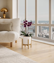 Load image into Gallery viewer, White stand:bamboo
