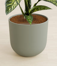 Load image into Gallery viewer, Sage Green stand:all
