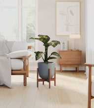 Load image into Gallery viewer, Iron Gray stand:walnut
