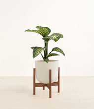 Load image into Gallery viewer, Natural Bamboo stand:walnut
