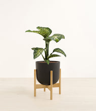 Load image into Gallery viewer, Stone Black stand:bamboo

