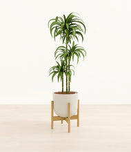 Load image into Gallery viewer, Natural Bamboo stand:bamboo
