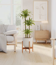 Load image into Gallery viewer, Natural Bamboo stand:bamboo
