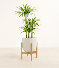 Load image into Gallery viewer, Natural Bamboo stand:bamboo
