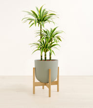 Load image into Gallery viewer, Sage Green stand:bamboo
