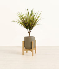 Load image into Gallery viewer, Olive stand:bamboo
