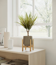 Load image into Gallery viewer, Olive stand:bamboo
