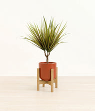 Load image into Gallery viewer, Glossy Red stand:bamboo
