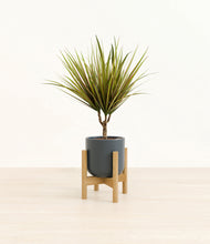 Load image into Gallery viewer, Iron Gray stand:bamboo
