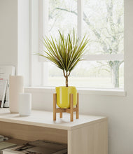 Load image into Gallery viewer, Key Lime Yellow stand:bamboo
